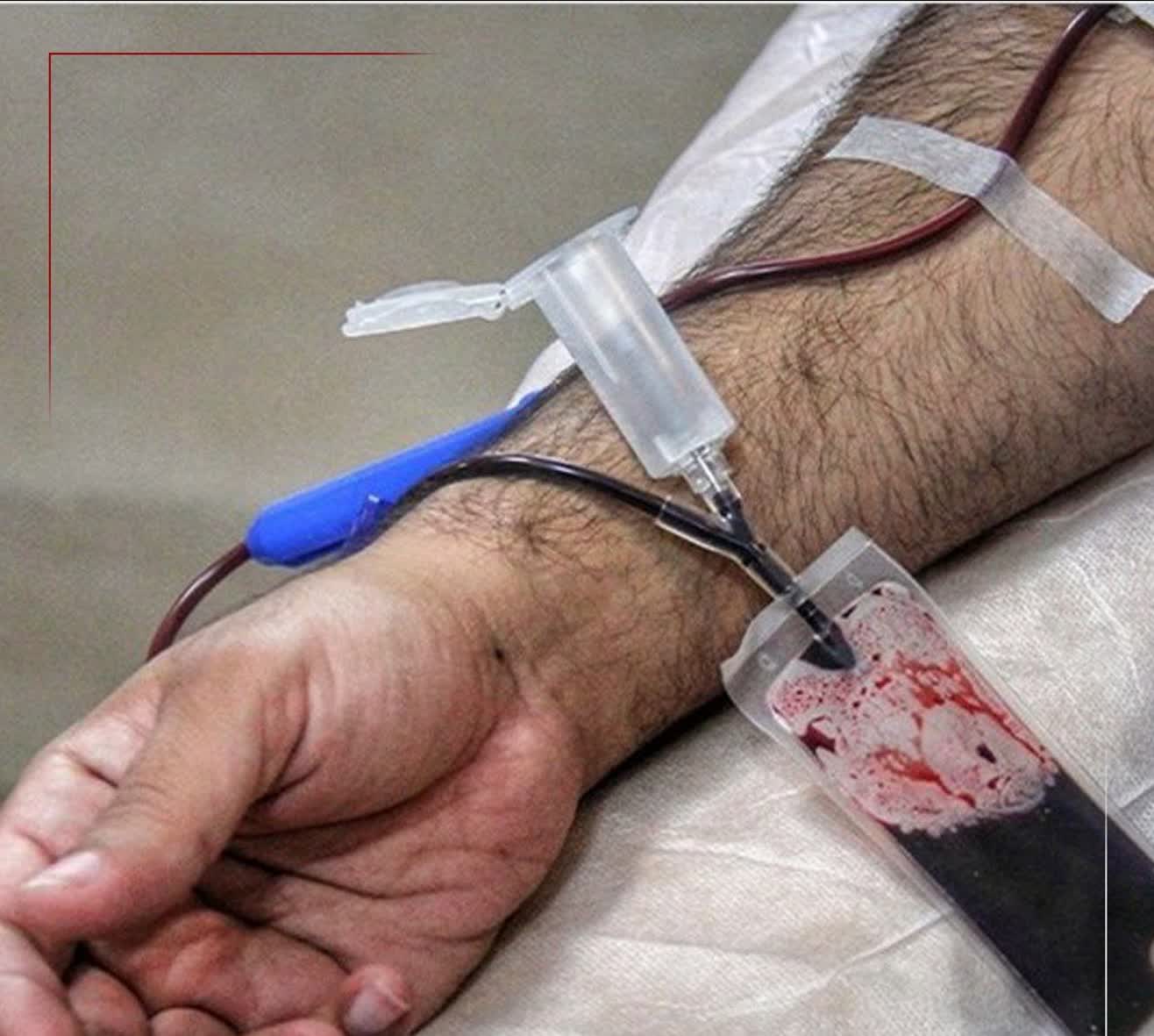 وجود ۲۳۰۰۰ بیمار تالاسمی در ایران